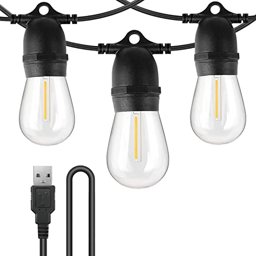 BRIMAX DC5V Clear Plastic 10W S14 USB LED String Lights 2700K Non-dimmable (1Pack)