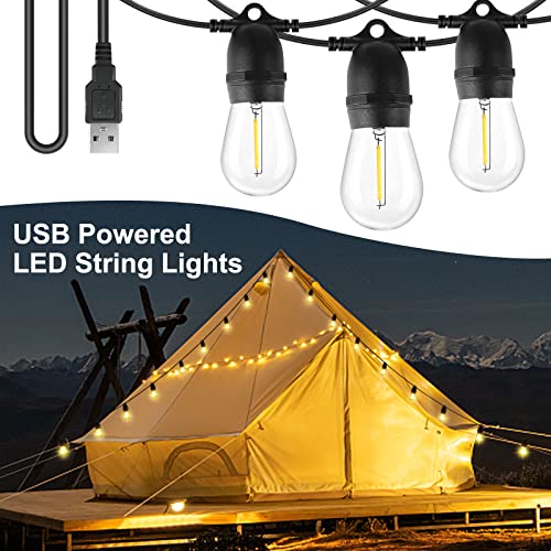 BRIMAX DC5V Clear Plastic 10W S14 USB LED String Lights 2700K Non-dimmable (1Pack)