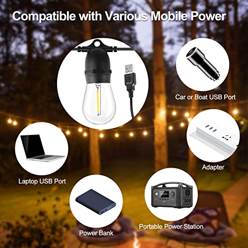 BRIMAX DC5V Clear Plastic 10W S14 USB LED String Lights 2700K Non-dimmable (1Pack)