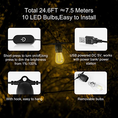 BRIMAX DC5V transparenter Kunststoff 10W S14 USB LED-Lichterkette 2700K dimmbar (1Pack)