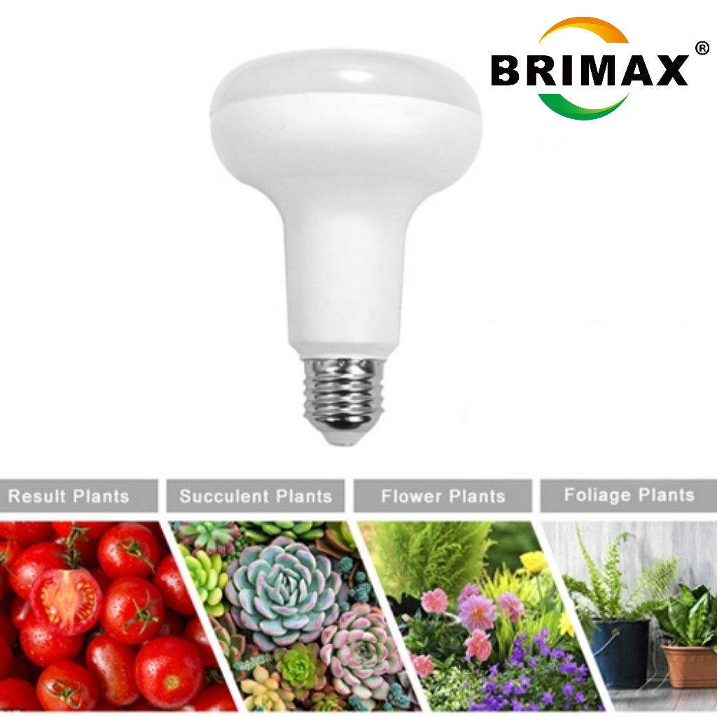 AC100-240V R90 E27 9W WiFi Smart Plant Grow Glühbirne (2er Pack)