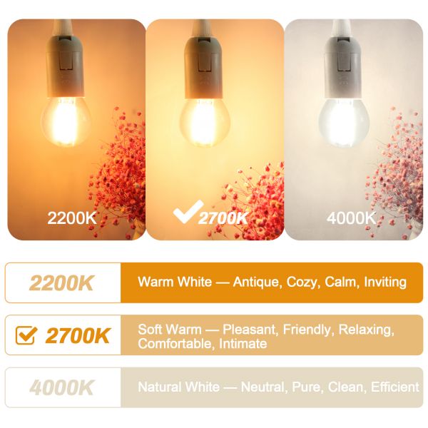 BRIMAX 120V 230V Clear Glass 6W G45 E26 E27 LED Bulb 2700K (6Pack)