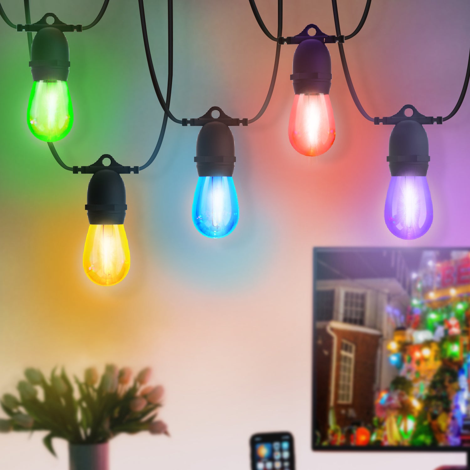 BRIMAX DC5V Clear Plastic 10W Colorful Festoon S14 USB LED String Lights Non-dimmable (1Pack)