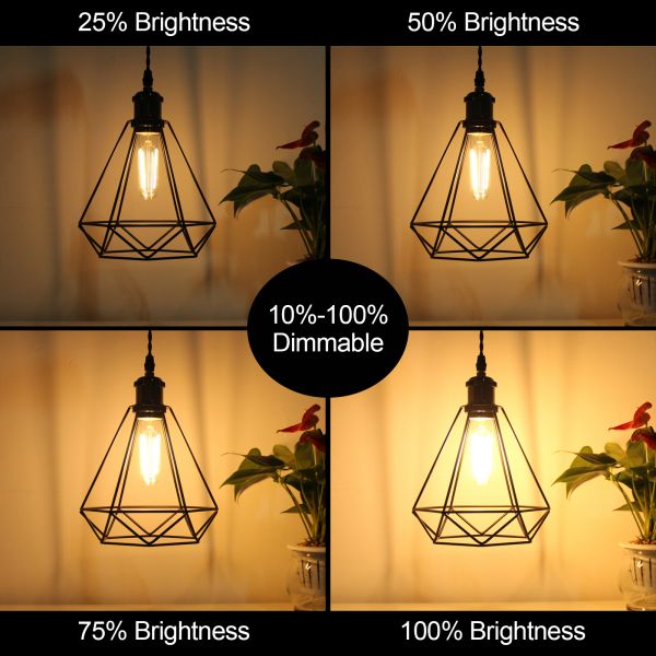 BRIMAX 120V 230V Clear Glass 4W T30 T10 E26 E27 LED Bulb 2700K (4Pack)