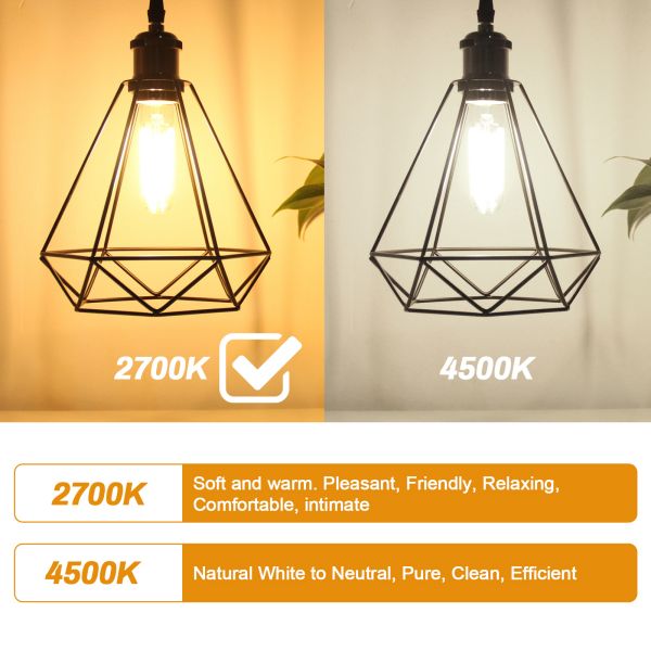 BRIMAX 120V 230V Clear Glass 4W T30 T10 E26 E27 LED Bulb 2700K (4Pack)