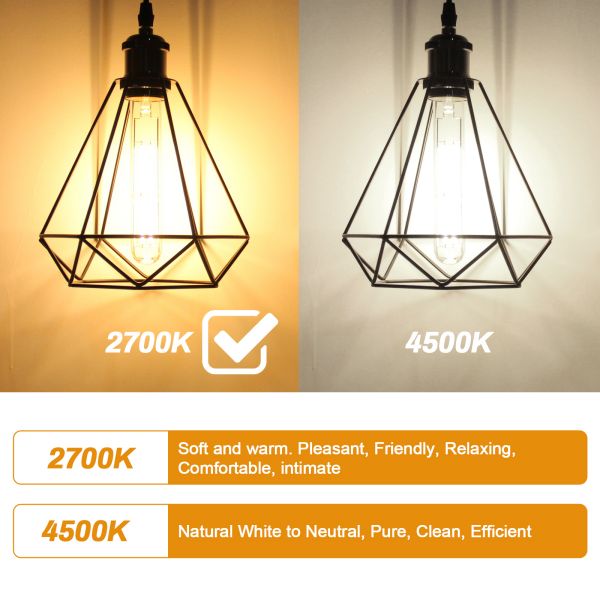 BRIMAX 120V 230V Clear Glass 8W T30 T10 E26 E27 LED Bulb 2700K (4Pack)