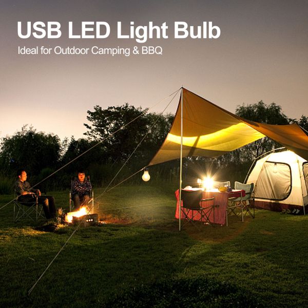 BRIMAX DC5V Klarer Kunststoff 3W A60 USB-LED-Glühbirne 2700K (2er-Pack)