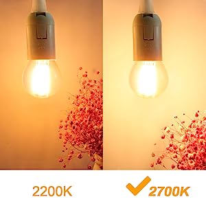 BRIMAX 120V 230V Clear Glass 6W G45 E26 E27 LED Bulb 2700K (6Pack)