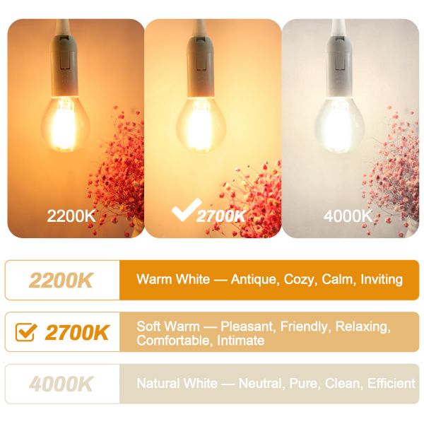 BRIMAX 120V 230V Clear Glass 6W G45 E12 E14 LED Bulb 2700K (6Pack)