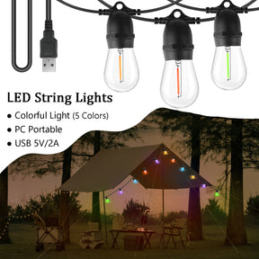 BRIMAX DC5V Clear Plastic 10W Colorful Festoon S14 USB LED String Lights Non-dimmable (1Pack)